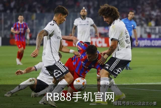 RB88手机官网公司简介图片